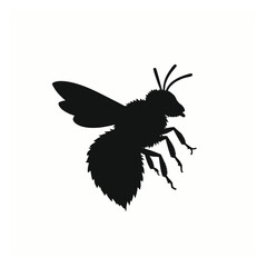Black and white bee icon silhouette vector art illustration