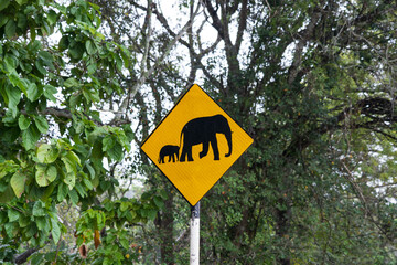 Elephant crossing sign in Sri Lanka warns drivers of wildlife zones and roaming elephants in rural areas