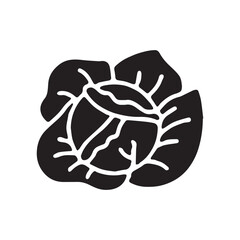 Cabbage vegetable in Vector Art