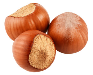 Hazelnut isolated on white background, clipping path, full depth of field