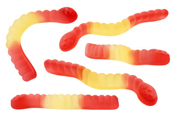 Gummy candy, isolated on white background, full depth of field