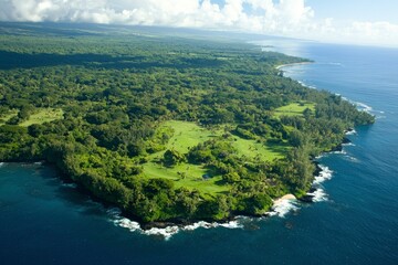 Lush Coastline