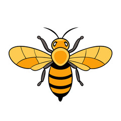 Beautiful Bees vector, Illustrations and icon
