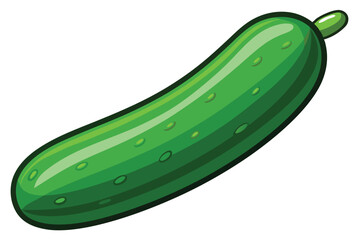 green cucumber isolated vector  on white
