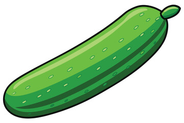 green cucumber isolated vector  on white