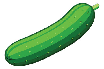 green cucumber isolated vector  on white
