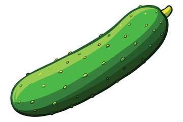 green cucumber isolated vector  on white