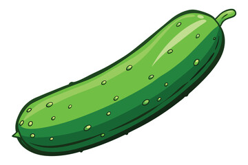 green cucumber isolated vector  on white