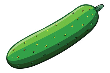 green cucumber isolated vector  on white