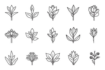 Minimalist saffron icon 2D line art