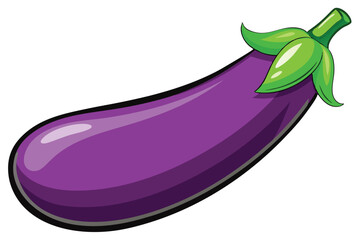 violet eggplant isolated vector on white