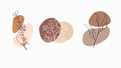 set of different autumn leaves