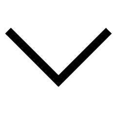 angle double small down glyph  flat vector icon