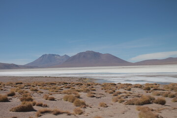 Lagoons, volcanoes and geysers in the Uyuni desert
