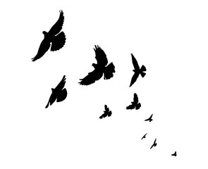 Flying birds silhouette flock. hand drawing. Not AI. Vector illustration.