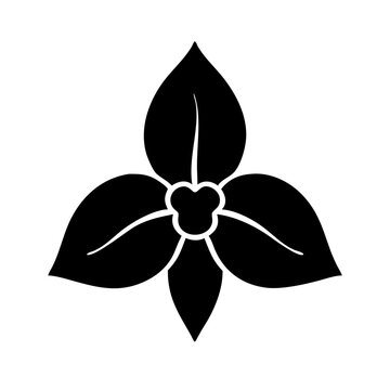trillium glyph  flat vector icon