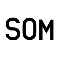 som currency glyph icon flat vector icon