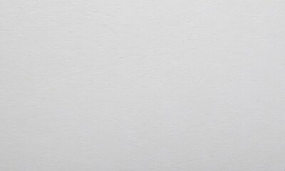 Elegant plain light grey paper with fine fibers for design presentations