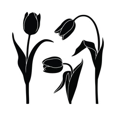 Minimalist Tulip Flower Silhouette Vector for Craft & Design Projects
