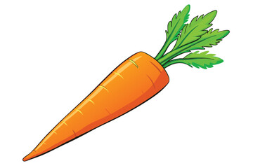 vector illustration of a fresh carrot