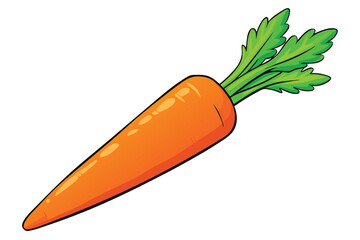 vector illustration of a fresh carrot