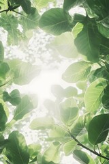 Bright Sunlight Through Lush Green Leaves