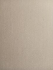 Fine-grained canvas for painting, featuring a soft texture and neutral white background