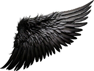 ave, aguilas, vector, ilustraci&oacute;n, alas, alas, animal, naturaleza, tatuaje, inhospitalario, emplumar, &aacute;ngel