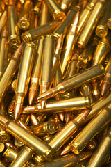 Naklejka premium Group of 223 Remington