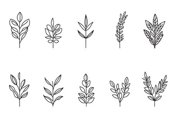 Minimalist Wild rice  icon line art