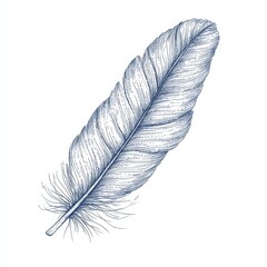 Obraz premium Continuous hand drawn for bird feather on white background. Abstract vector illustration 