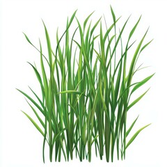 Transform your space with lush, realistic swamp grass that brings vibrant greenery and a touch of nature indoors.