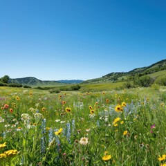 Obraz premium Colorful wildflower meadow with mountainscape