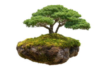 Miniature World: A Floating Island with Lush Green Tree Against Black Backdrop