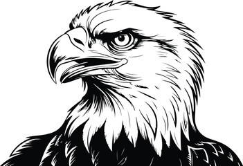 Eagle Head Silhouette Vector | Bald Eagle Face Clipart Eagle Head Outline Icon | Bird of Prey Vector Set