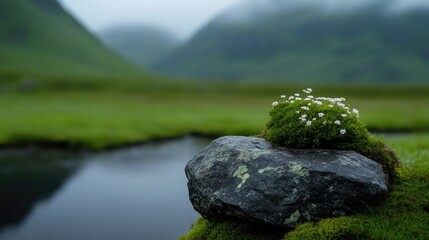 Misty mountain meadow with a rock, moss and flowers