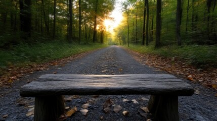 Wooden bench in a forest pathway at sunrise