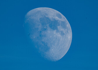 moon in a blue sky