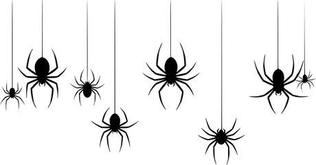 Hand drawn vector illustration of four distinct spiders suspended on threads in varying sizes and poses
