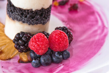 Coconut ice cream dessert with red berries, dried fruit, frozen dessert with fresh fruit, tiramisu