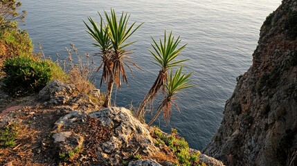 Coastal plants atop a cliff overlooking the sea.