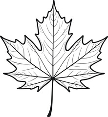 Black Silhouette Maple Leaf – High-Contrast Botanical Illustration