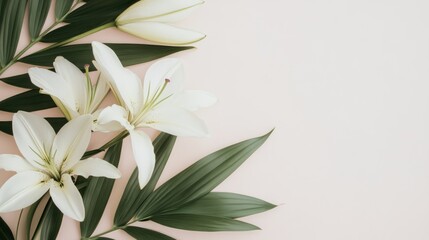 Fototapeta premium Delicate white lilies and palm leaves arranged on a pastel background.