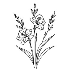 Hand drawn wild flowers Botanical drawing, line art Gladiolus illustration. Black and White Meadow stems. Simple Stylized wildflowers. Set of outline doodle floral
