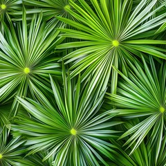 Vibrant Green Palm Leaves Background Tropical Foliage Texture