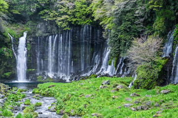 日本静岡富士宮の白糸の滝