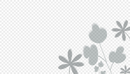 Realistic shadow plant on a transparent background. Overlay leaves. Soft light effect. Poster layout template. Presentation design card Vector.