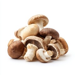 Pile of various mushrooms isolated on white background