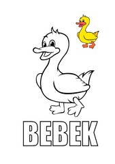 duck animal coloring book