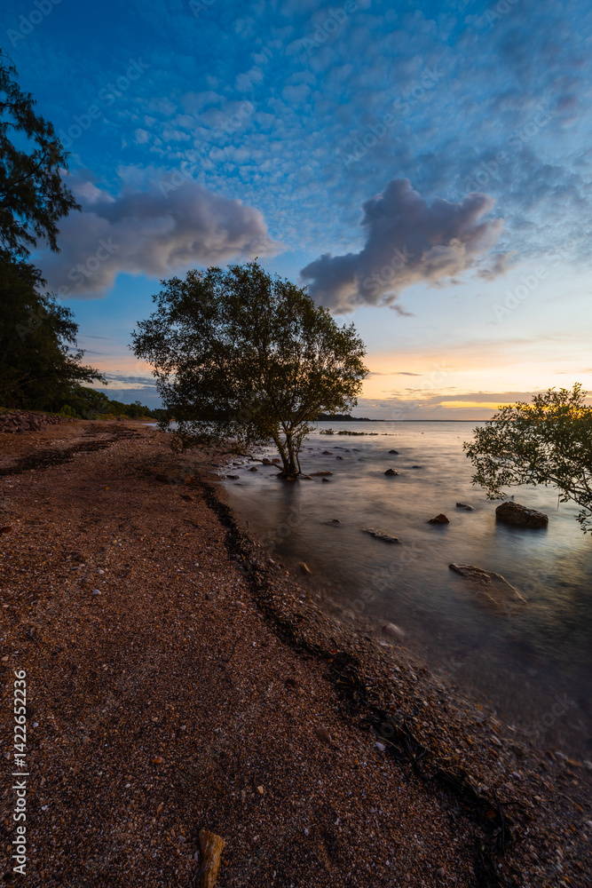 Wall mural dusk view of a big tree on the beach coastline.